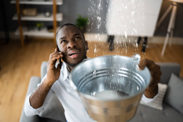 Best Water damage cleanup near me  in Blountsville, AL