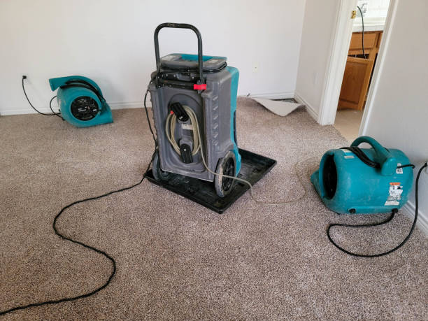 Best Flooded house restoration  in Blountsville, AL