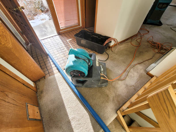 Water damage restoration mold remediation in Blountsville, AL