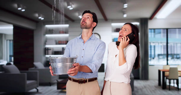 Best Water damage restoration services  in Blountsville, AL